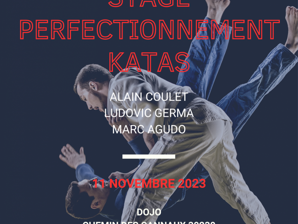 Image de l'actu 'Stage de Perfectionnement Katas et UV2 le 11 novembre 2023'